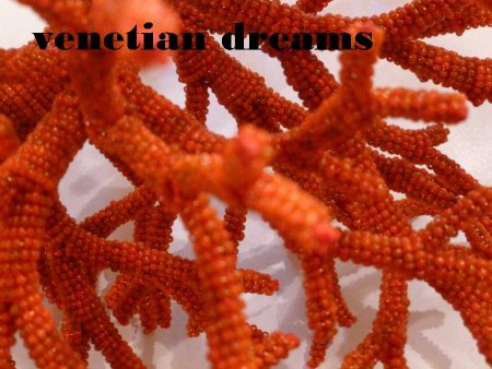 /treks/artigianato-a-360-gpx/venetian-dreams/bradedcoral.jpg