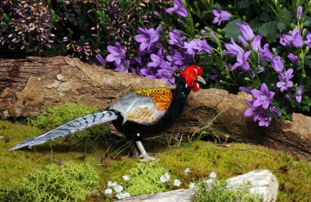 /treks/arteartigianatoperlacasa/i-vetri-d-arte-di-vittorio-costantini/03-fagiano-giapponese-japanese-pheasant.jpg